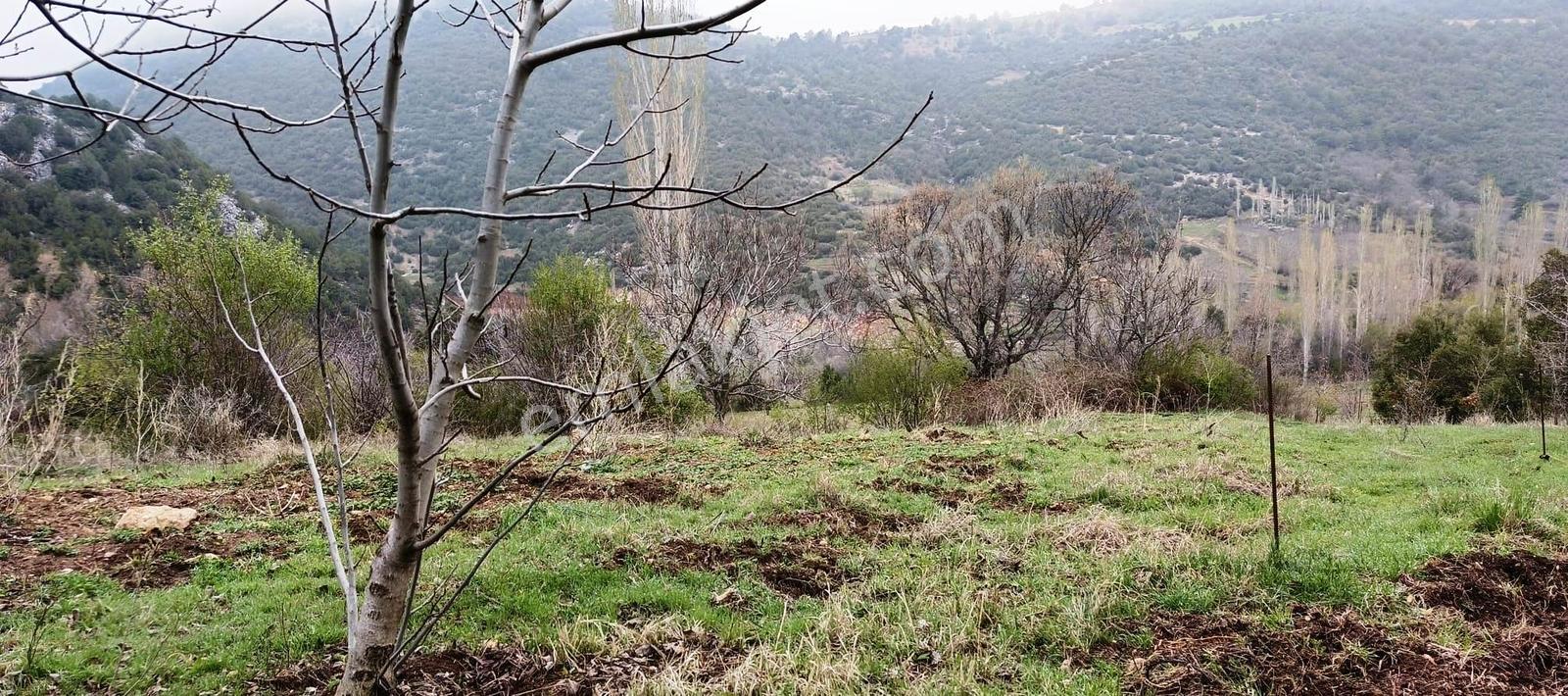 Başmakçı Çığrı Köyü İmarlı Arsa - Görsel 7