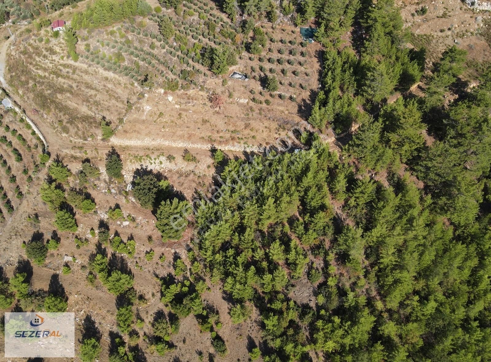 Satılık Tarla Alanya Altın Erir Toprak Erimez - Görsel 6