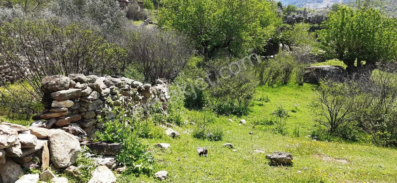 Çine Sarıköy De Satılık İmarlı Arsa - Görsel 4