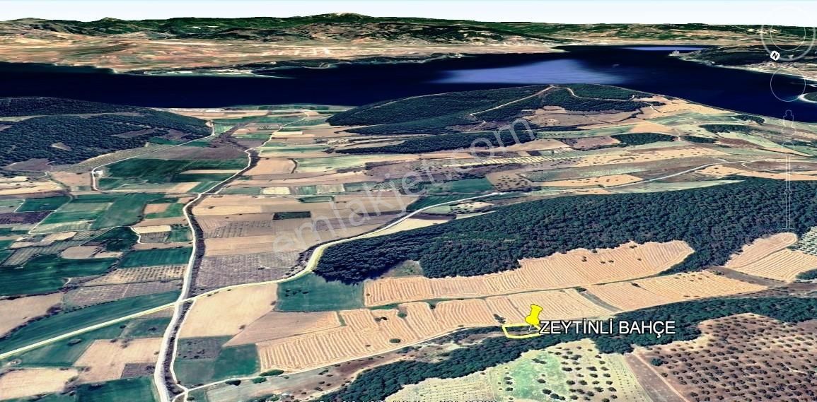 Eceabat Bigalı Da Tek Tapu Satılık Tarla - Görsel 12