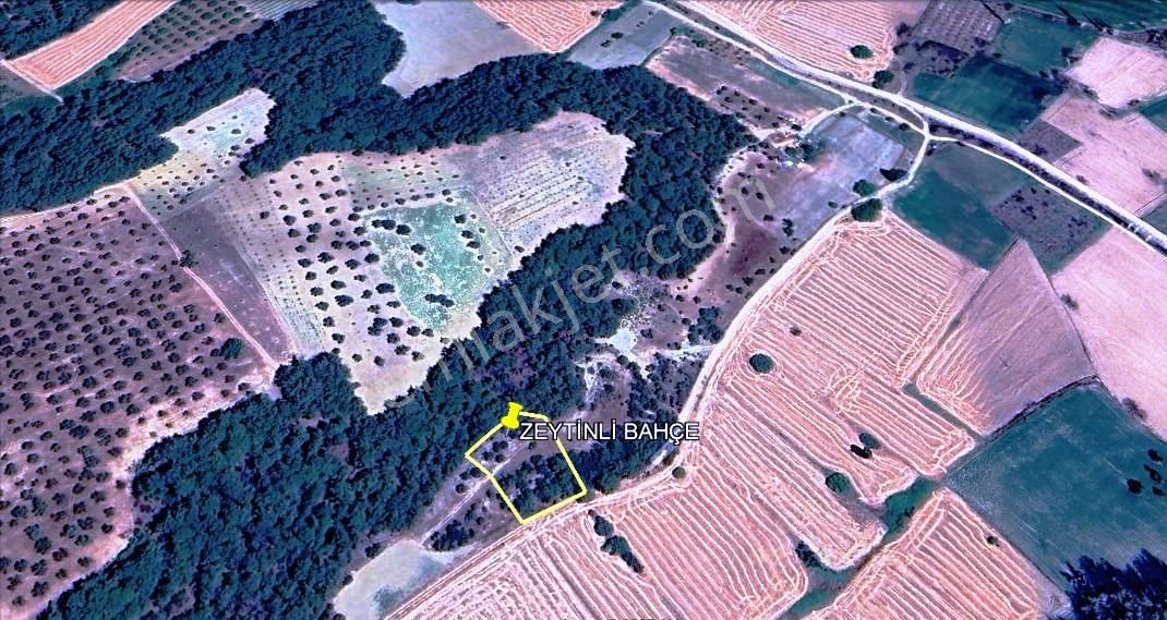 Eceabat Bigalı Da Tek Tapu Satılık Tarla - Görsel 2