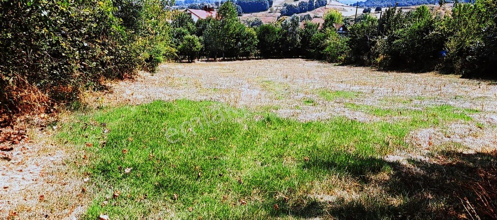 Çaycuma Basat Ta İmarlı Villa Arsası - Görsel 6