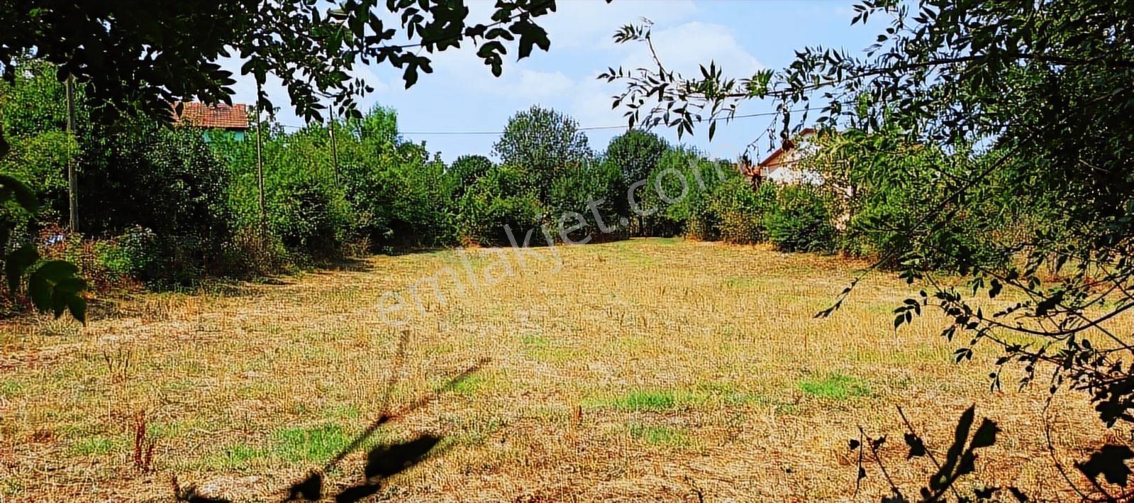 Çaycuma Basat Ta İmarlı Villa Arsası - Görsel 8