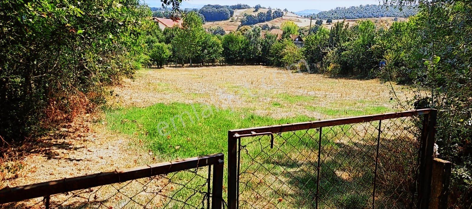 Çaycuma Basat Ta İmarlı Villa Arsası - Görsel 3