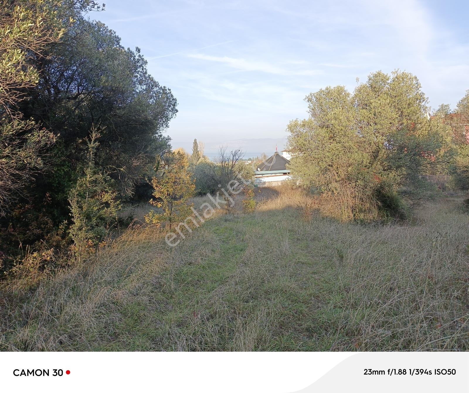 Karamürsel İn İncisi Dereköy De Villa İmarlı Arsa - Görsel 4