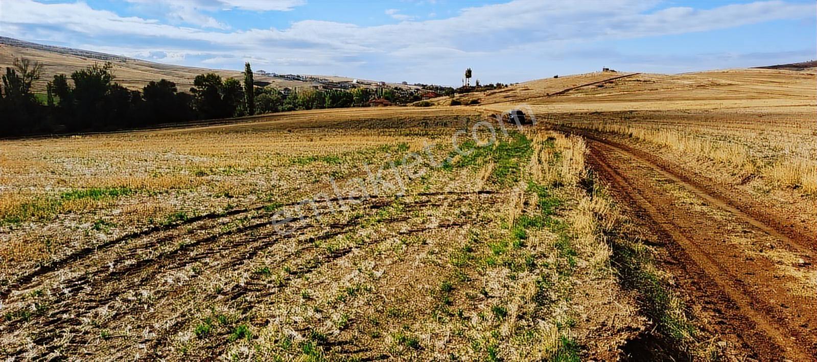 Sorgun Merkez Mükremin Mahallesi Tek Tapulu - Görsel 3