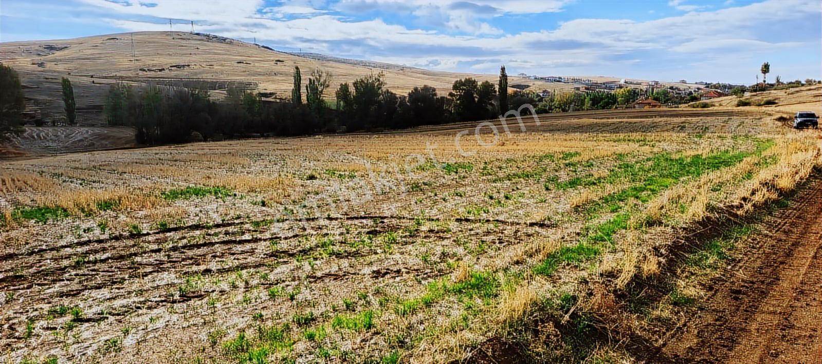 Sorgun Merkez Mükremin Mahallesi Tek Tapulu - Görsel 5