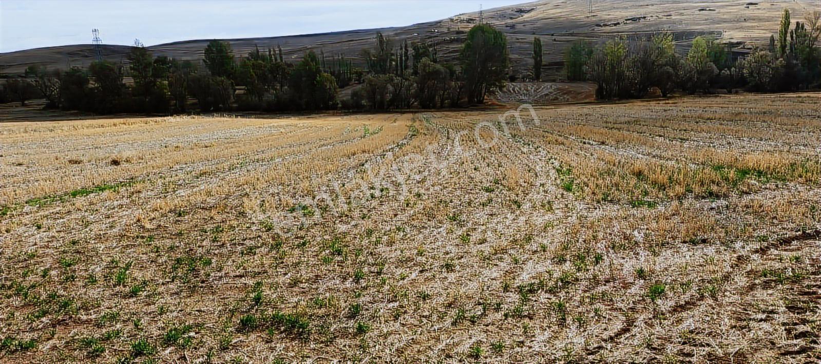 Sorgun Merkez Mükremin Mahallesi Tek Tapulu - Görsel 15