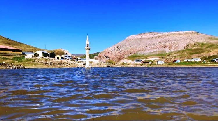 Develi Çukuryurt Ta Satılık Bağ - Görsel 4
