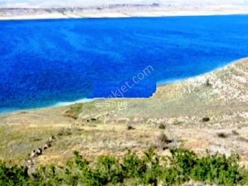 Develi Çukuryurt Ta Satılık Bağ