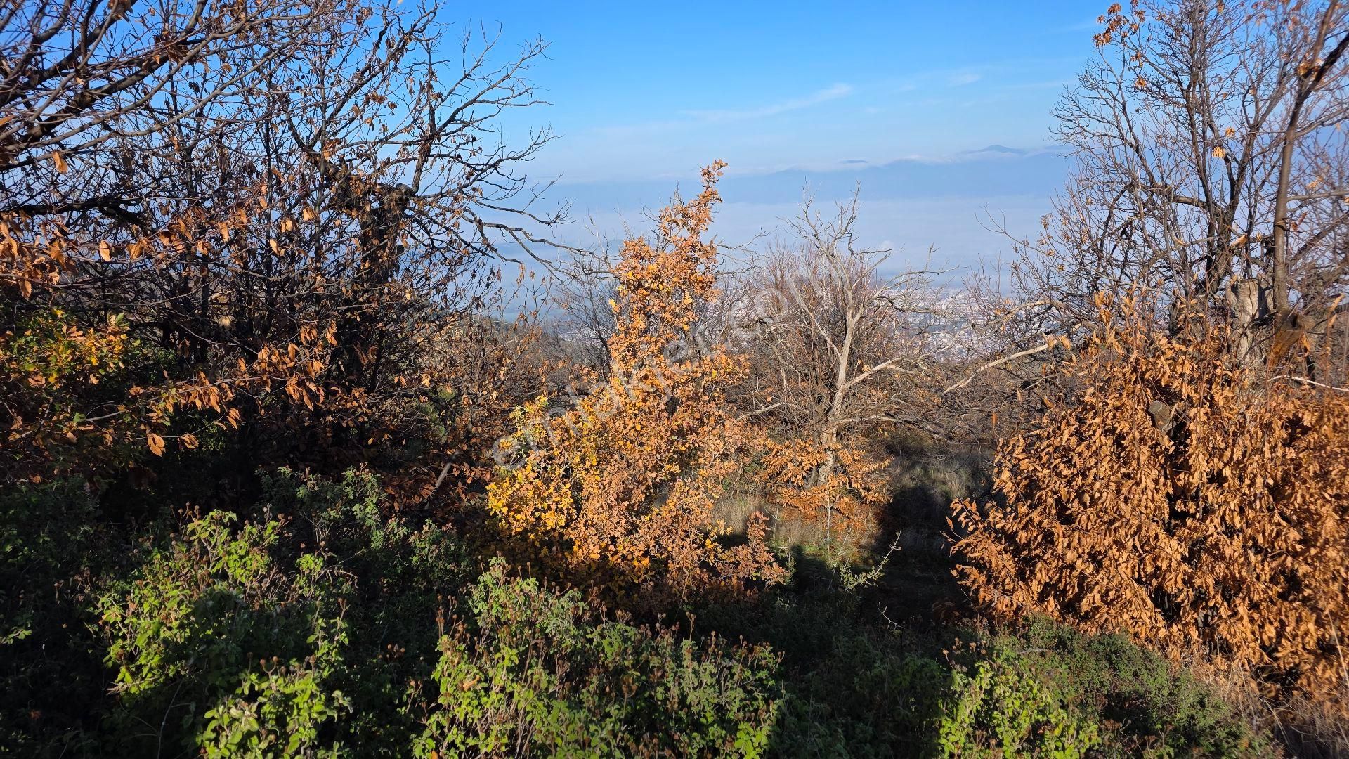 Ali Akdoğan Emlak Ofisinden - Görsel 8