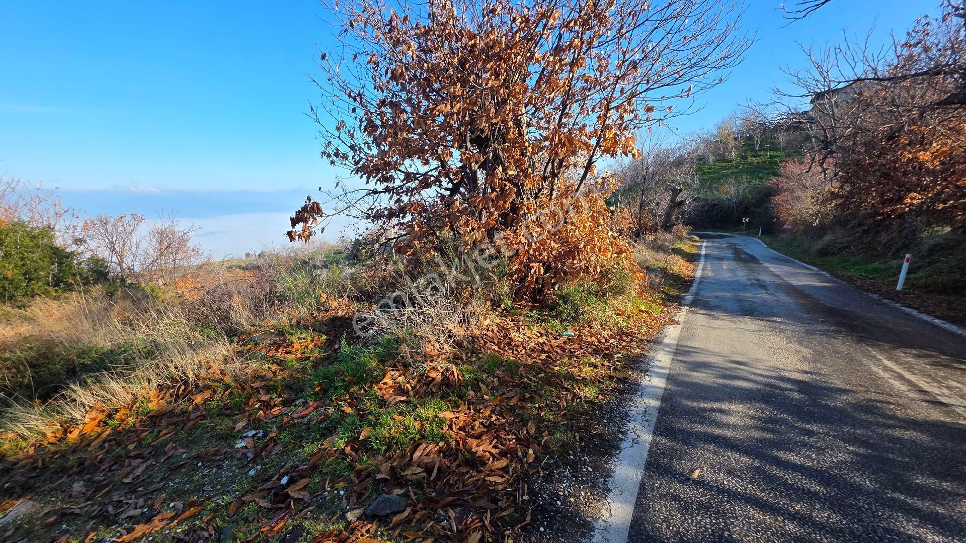 Ali Akdoğan Emlak Ofisinden - Görsel 20