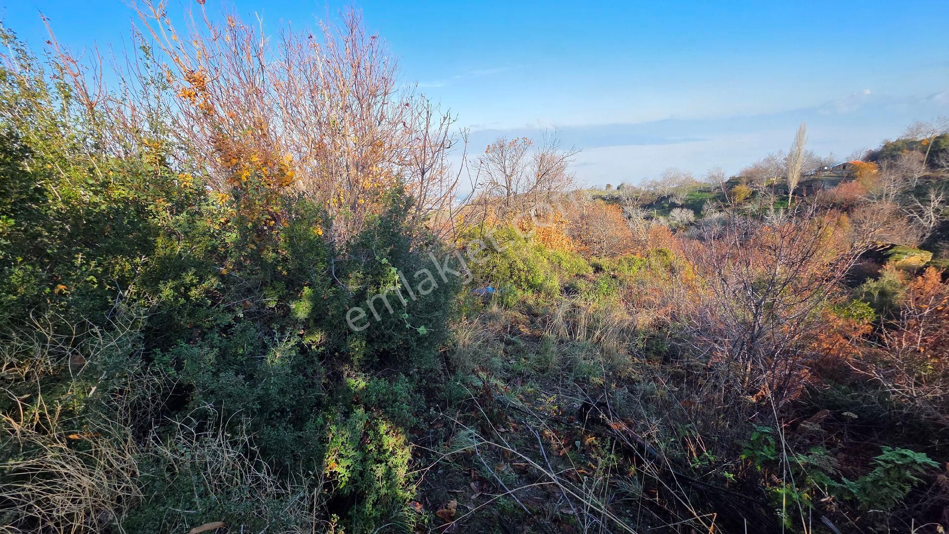 Ali Akdoğan Emlak Ofisinden - Görsel 13