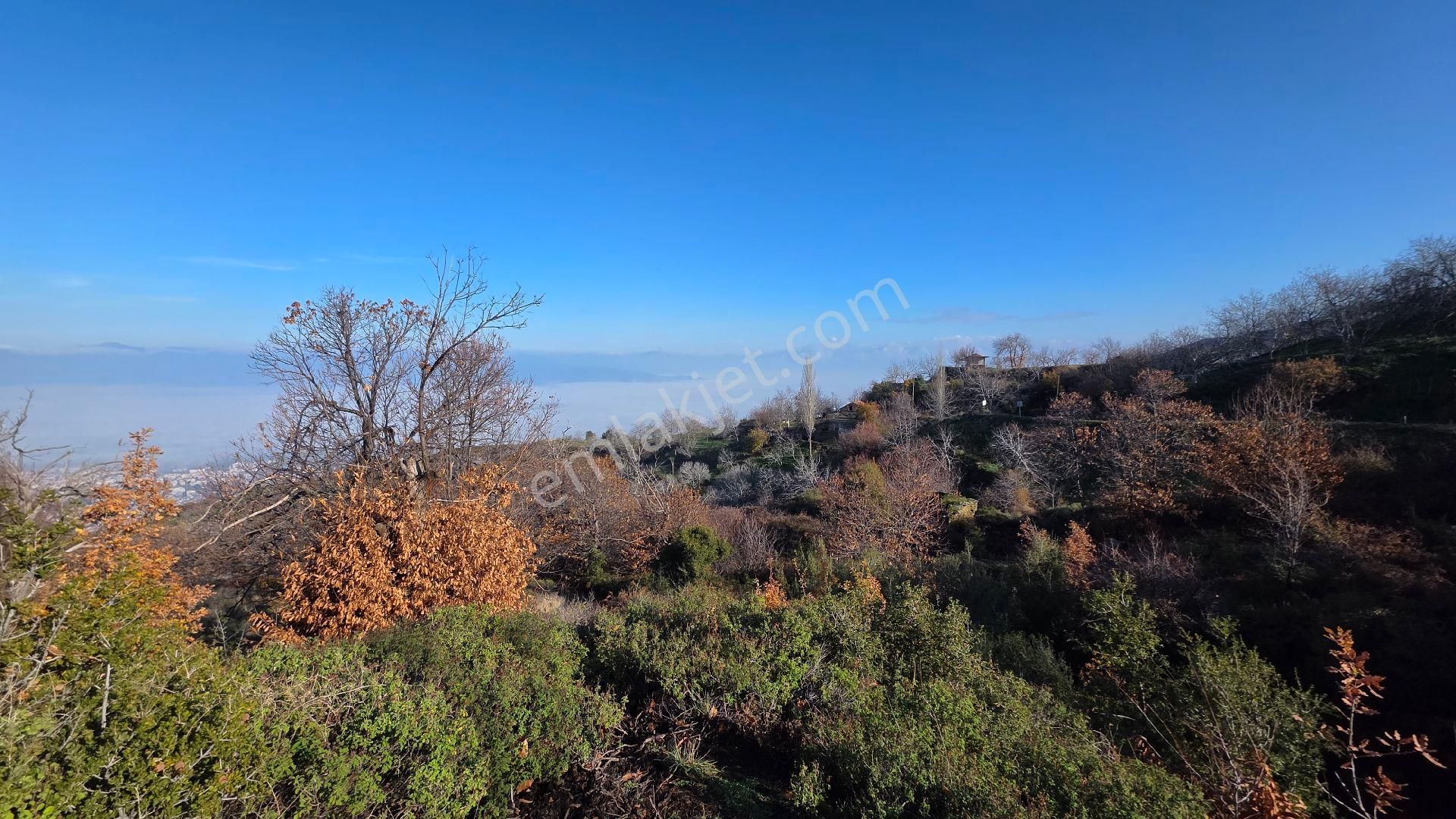 Ali Akdoğan Emlak Ofisinden - Görsel 12