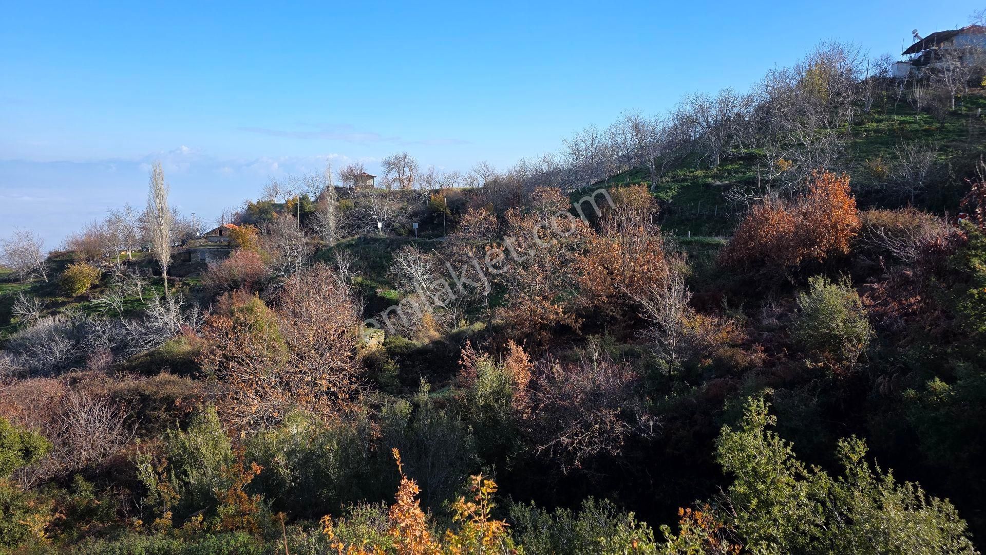 Ali Akdoğan Emlak Ofisinden - Görsel 6