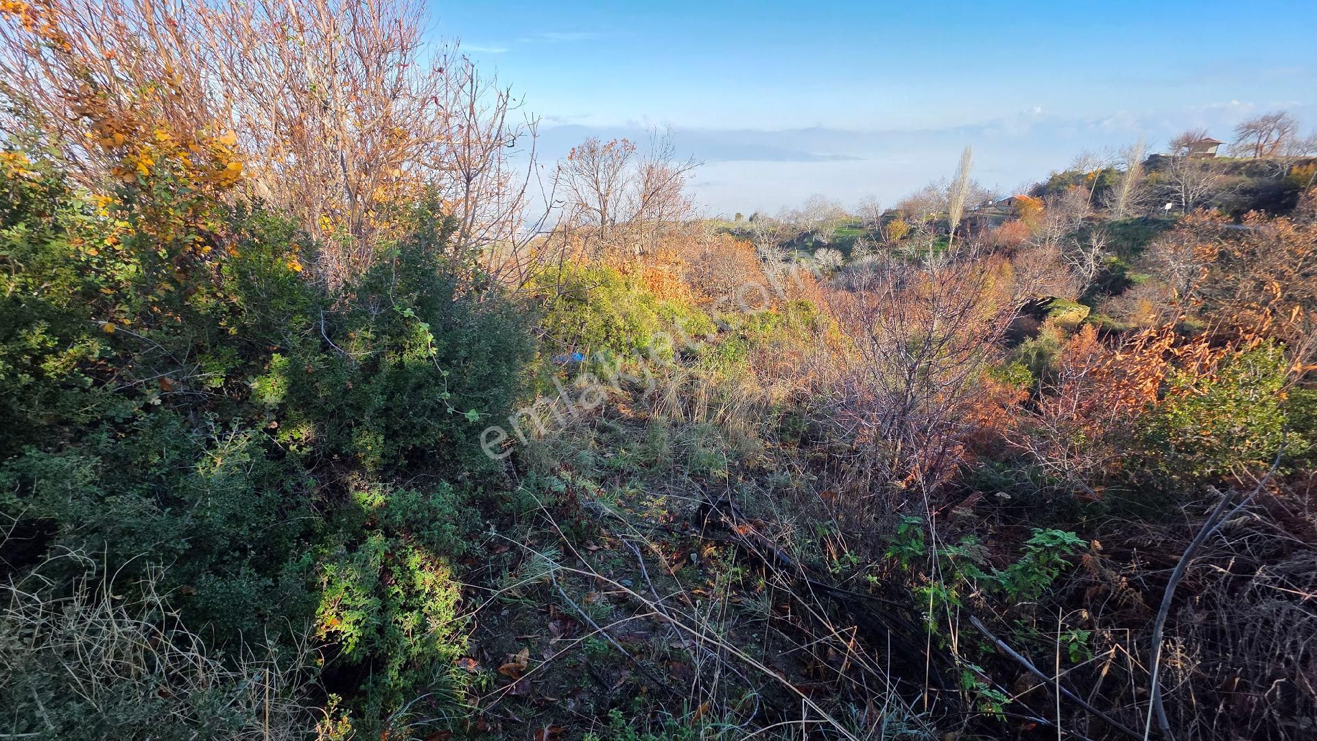 Ali Akdoğan Emlak Ofisinden - Görsel 15