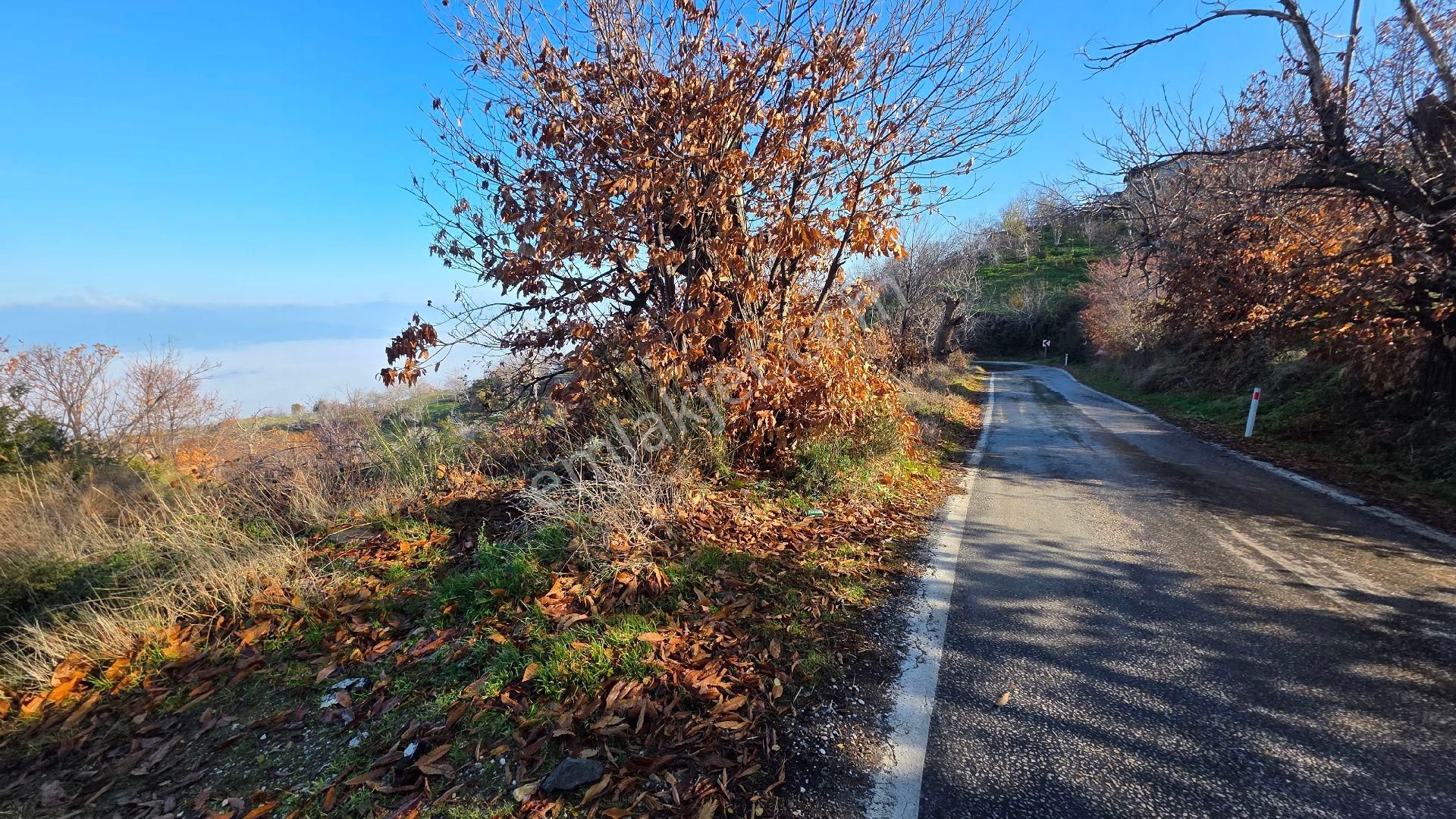 Ali Akdoğan Emlak Ofisinden