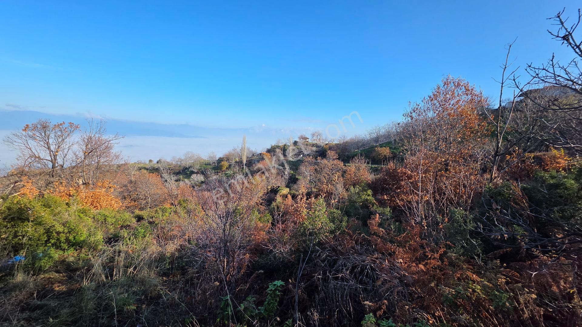 Ali Akdoğan Emlak Ofisinden - Görsel 16