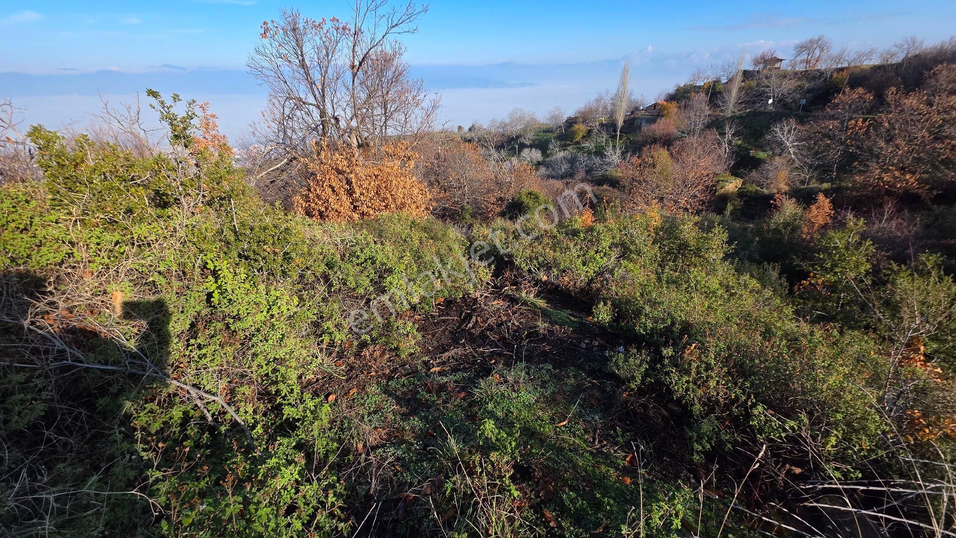 Ali Akdoğan Emlak Ofisinden - Görsel 9