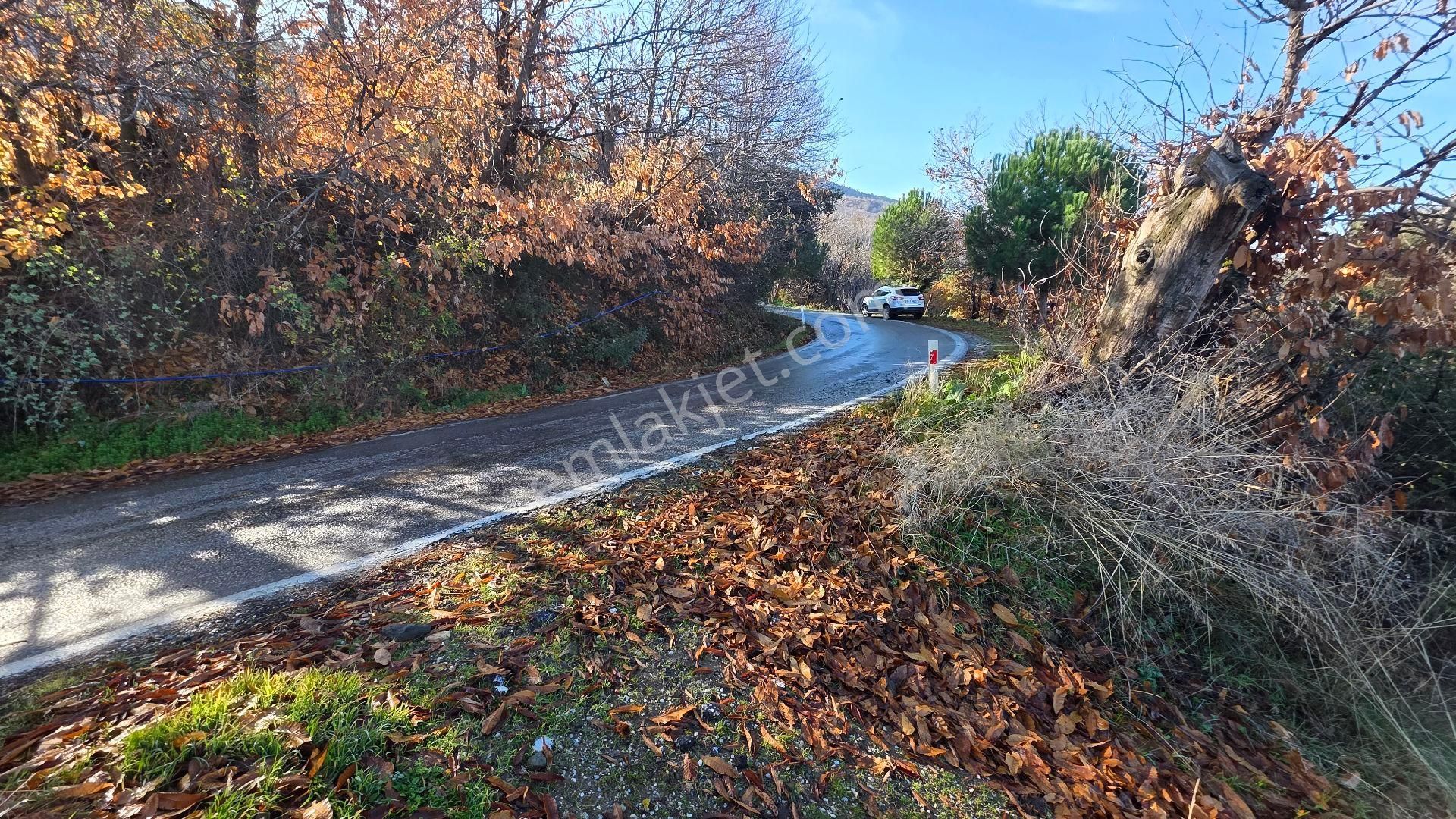 Ali Akdoğan Emlak Ofisinden - Görsel 17