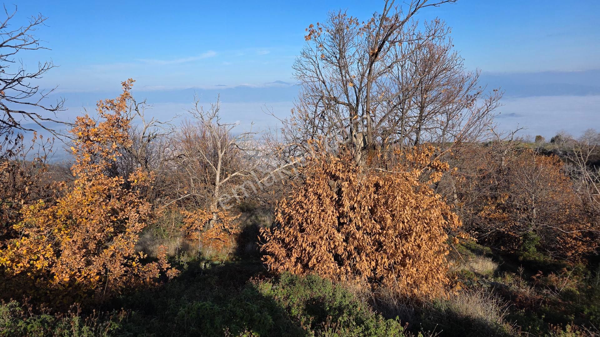 Ali Akdoğan Emlak Ofisinden - Görsel 3