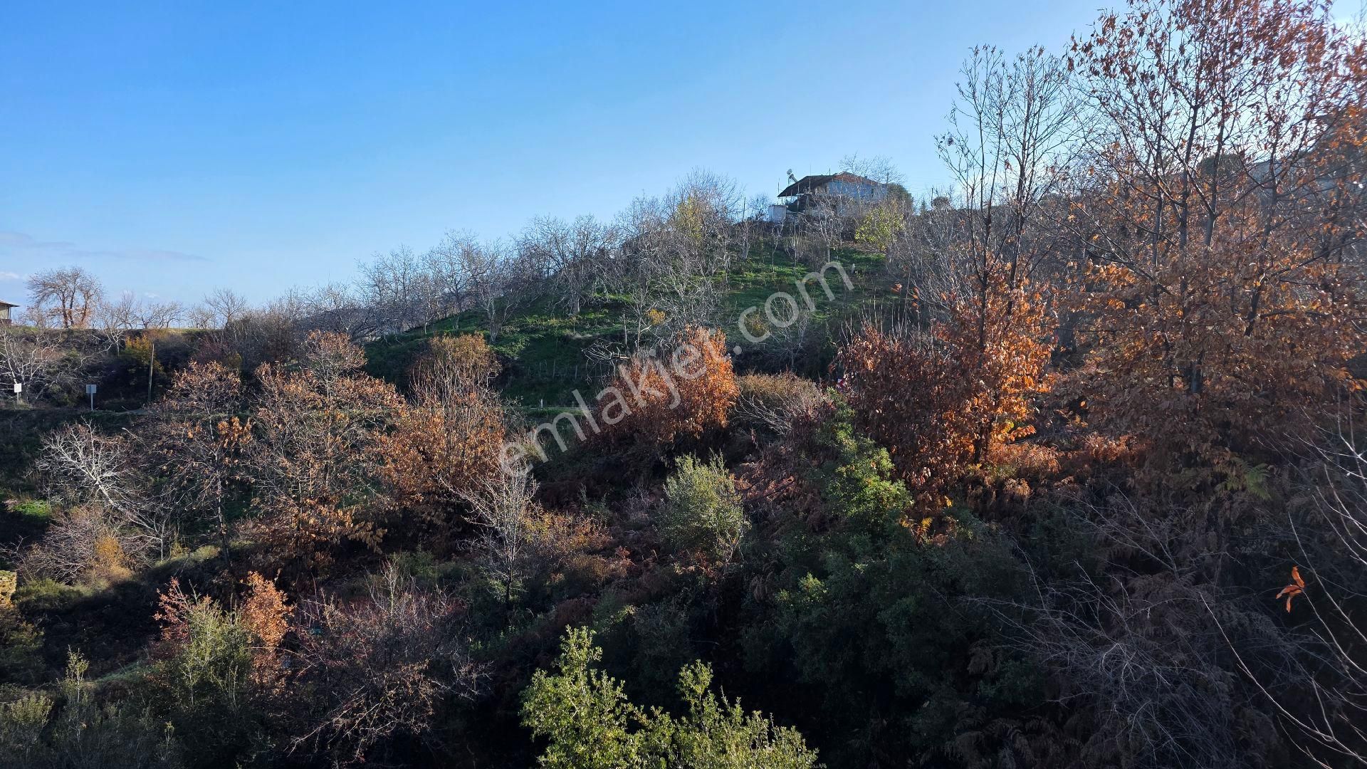 Ali Akdoğan Emlak Ofisinden - Görsel 4