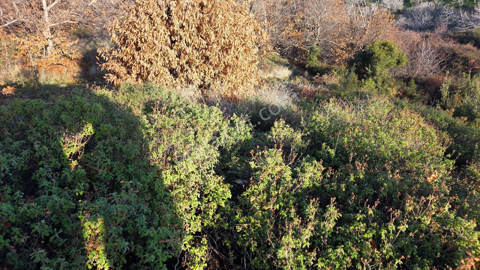 Ali Akdoğan Emlak Ofisinden - Görsel 2