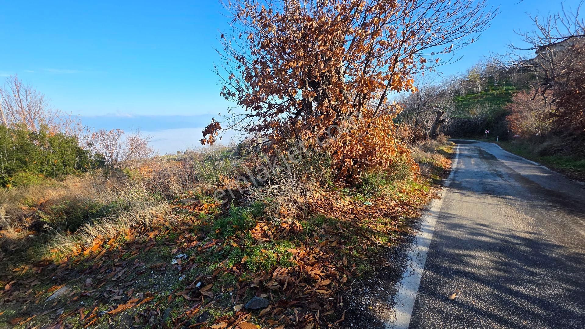 Ali Akdoğan Emlak Ofisinden - Görsel 18