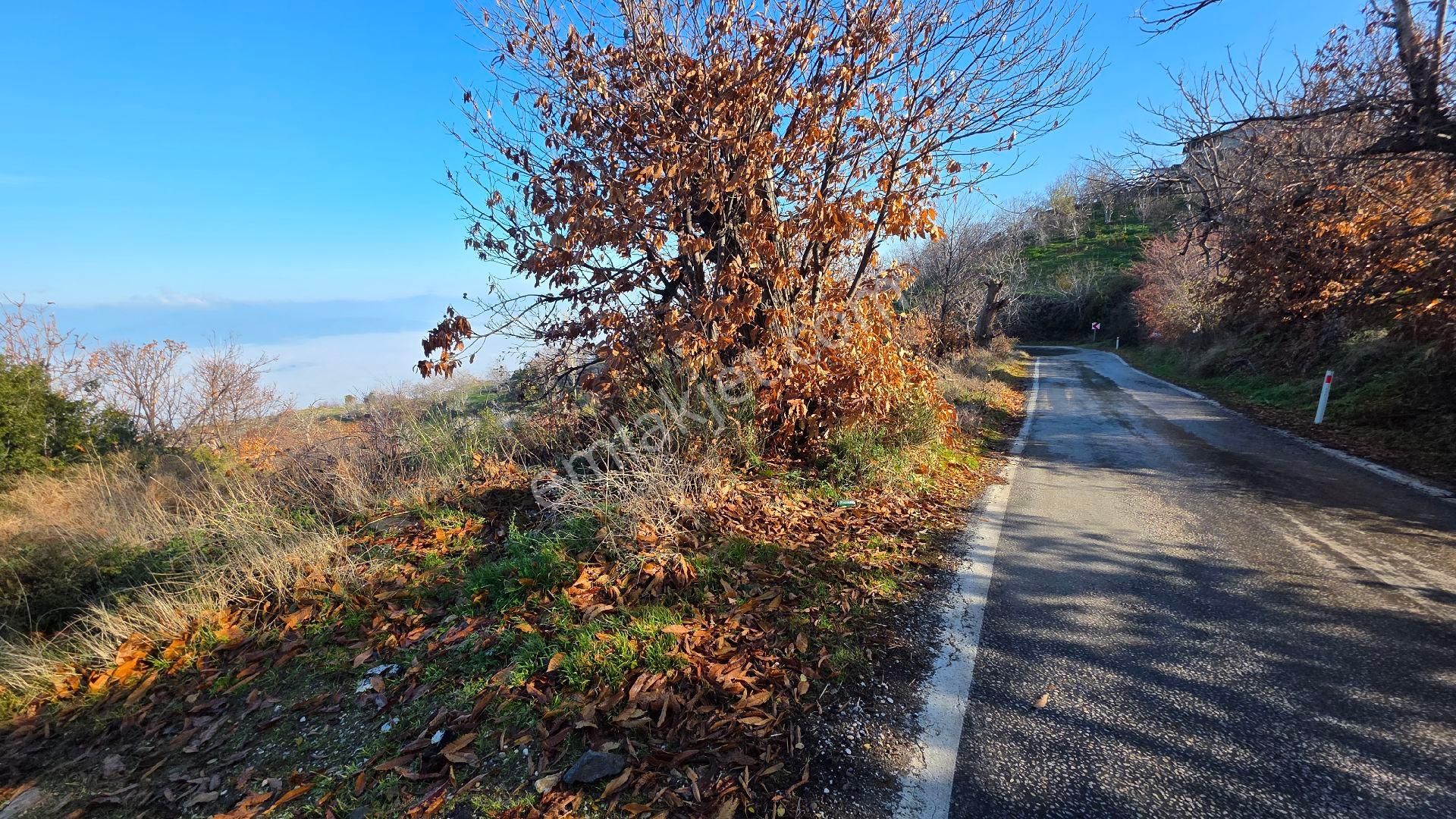 Ali Akdoğan Emlak Ofisinden - Görsel 19