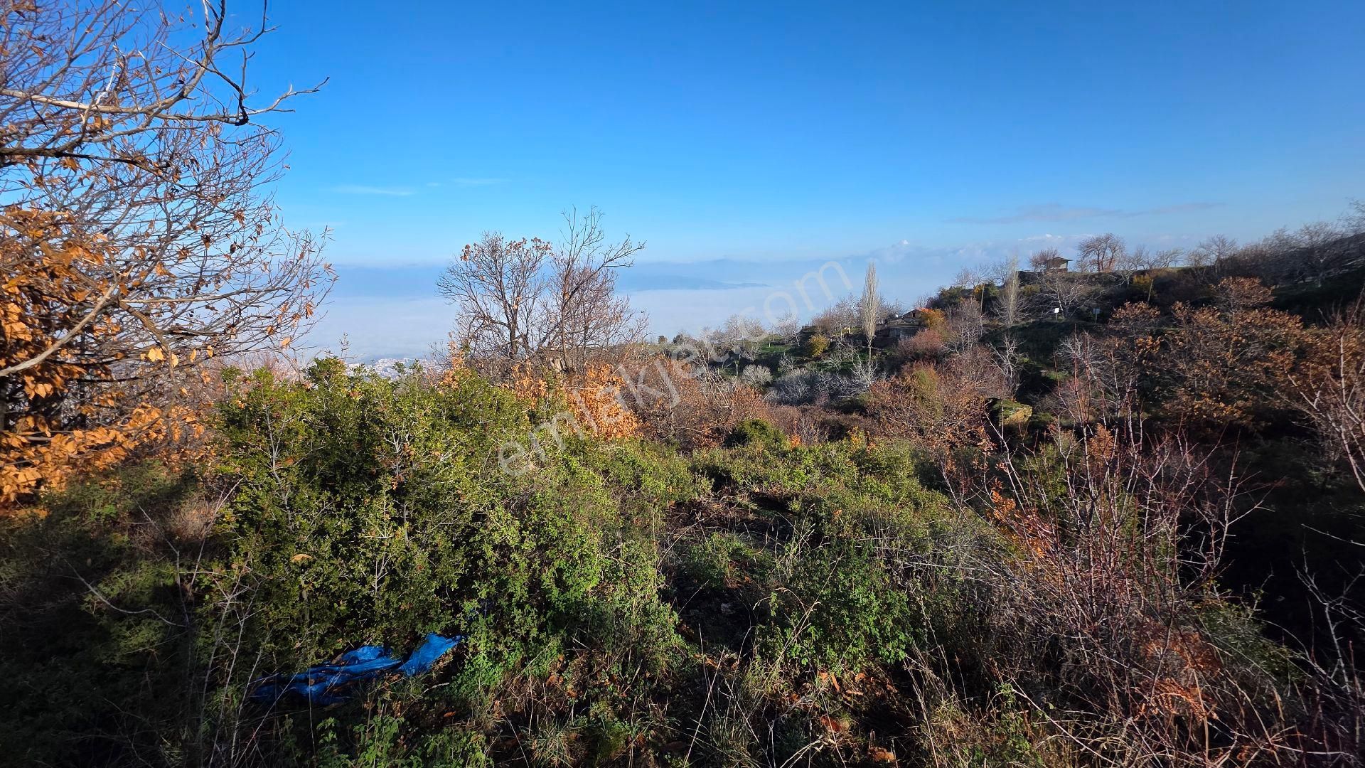 Ali Akdoğan Emlak Ofisinden - Görsel 10