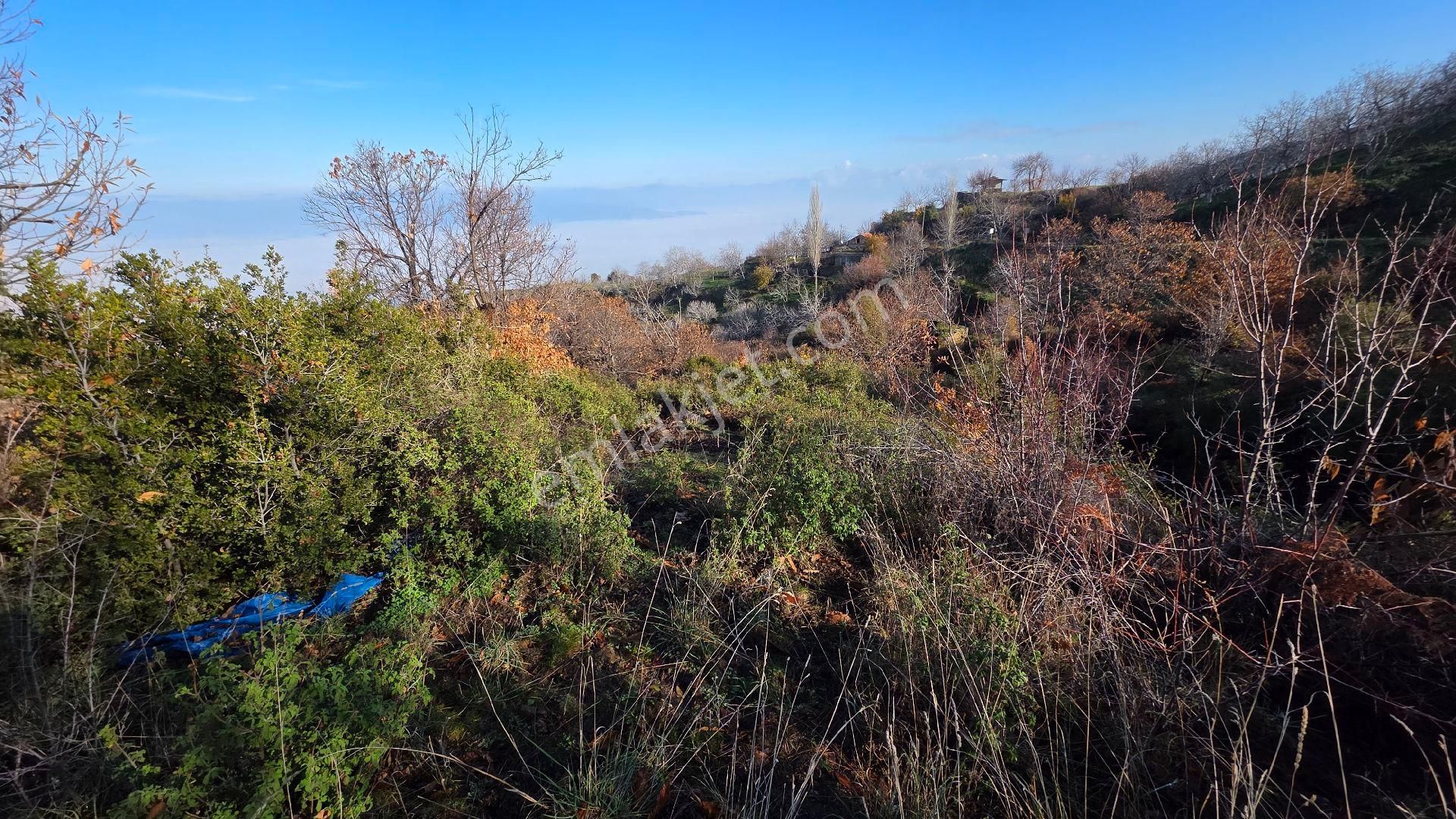 Ali Akdoğan Emlak Ofisinden - Görsel 11