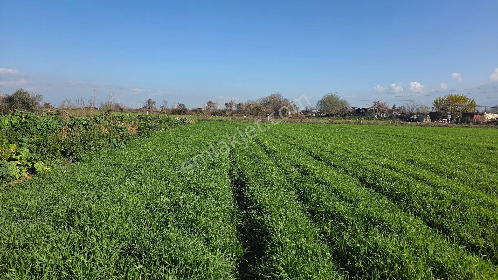 Ali Akdoğan Emlak Ofisinden - Görsel 6