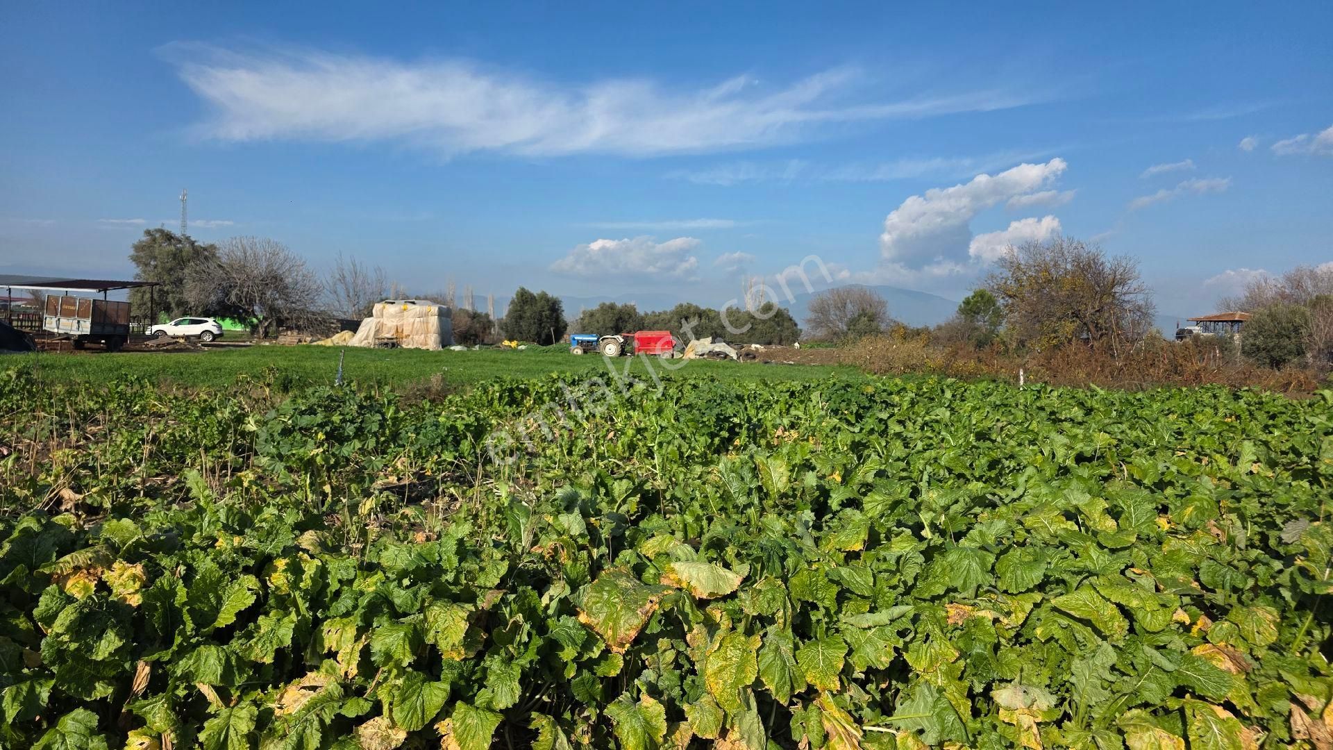 Ali Akdoğan Emlak Ofisinden - Görsel 11