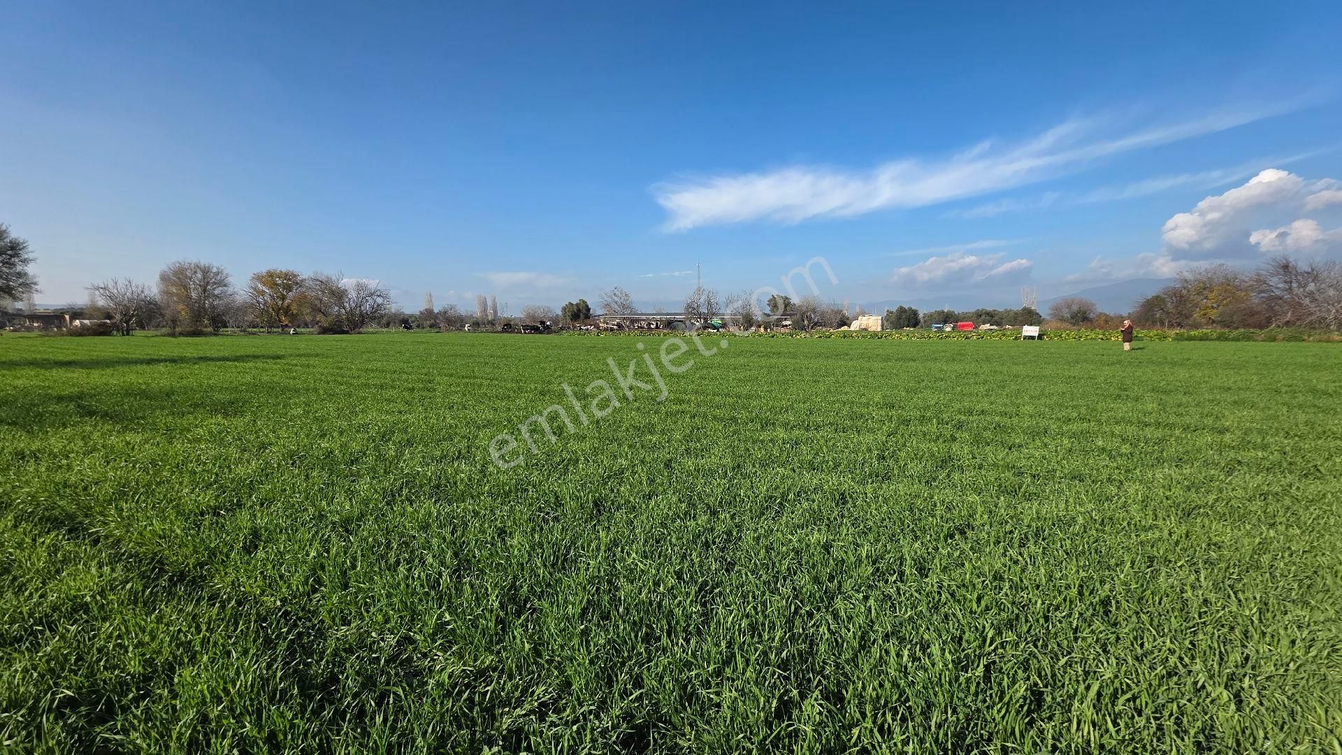 Ali Akdoğan Emlak Ofisinden - Görsel 5