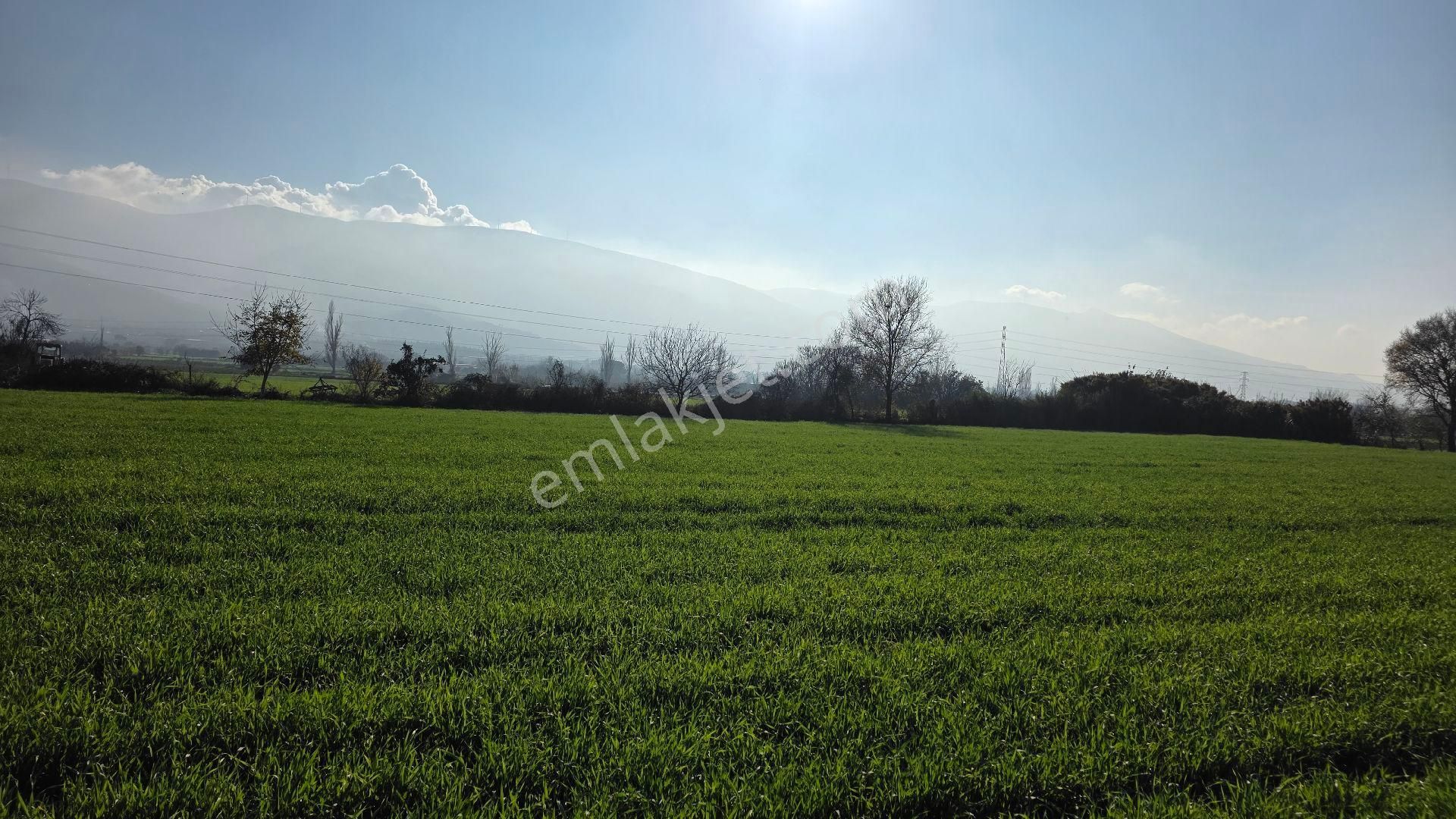 Ali Akdoğan Emlak Ofisinden - Görsel 15