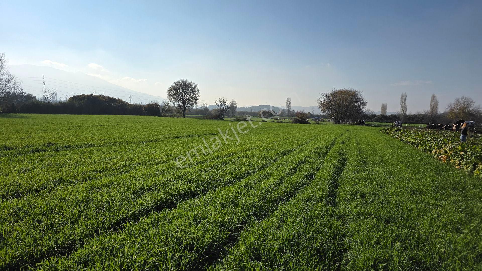 Ali Akdoğan Emlak Ofisinden - Görsel 10