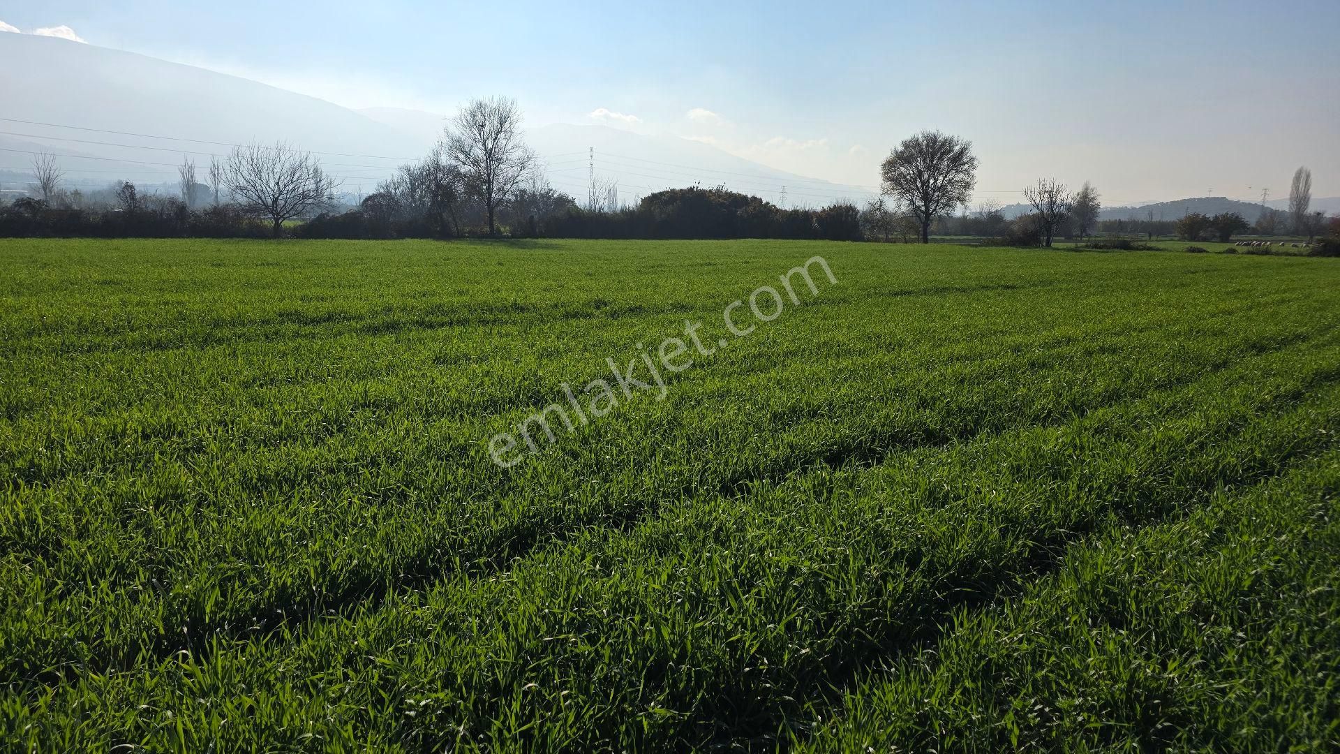 Ali Akdoğan Emlak Ofisinden - Görsel 7