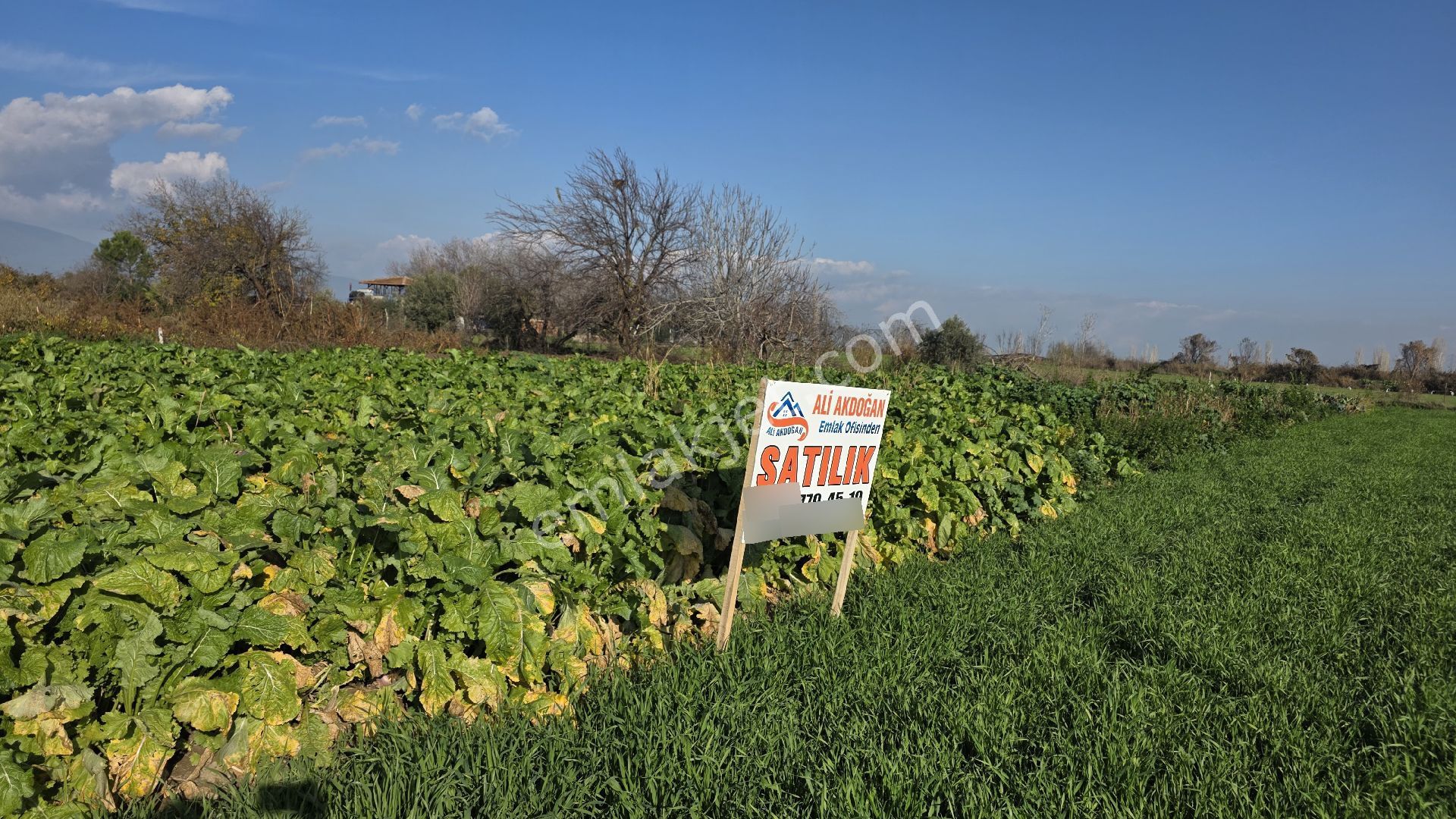 Ali Akdoğan Emlak Ofisinden - Görsel 12