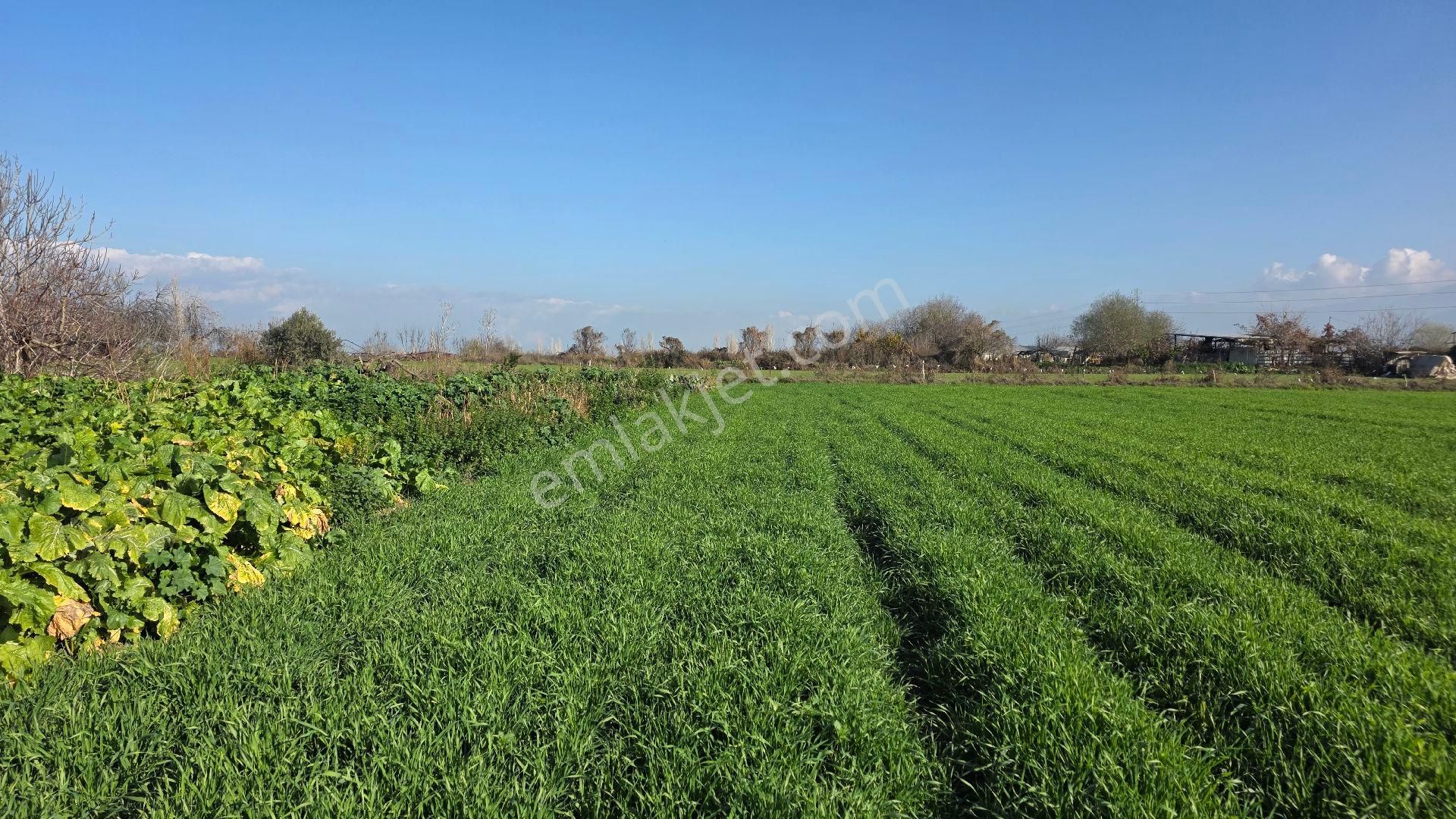 Ali Akdoğan Emlak Ofisinden - Görsel 8