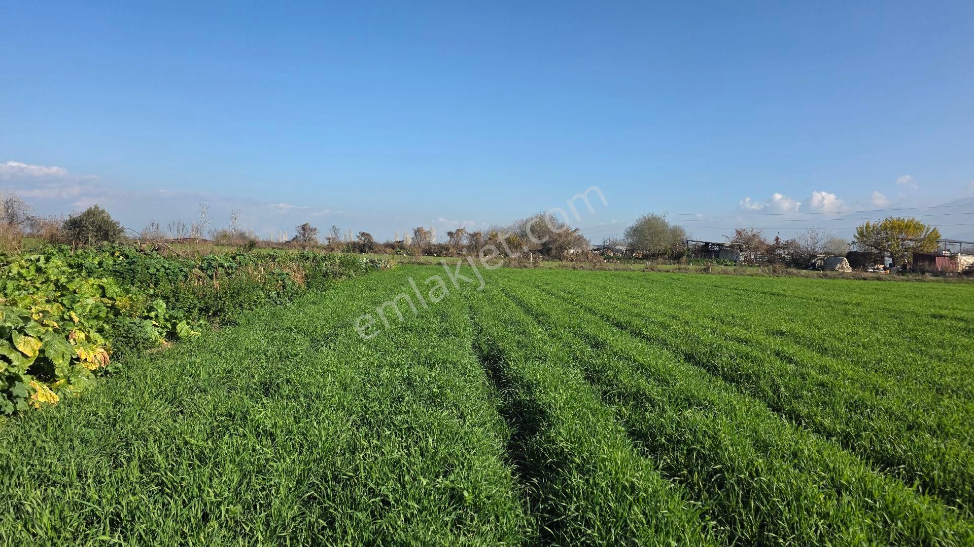 Ali Akdoğan Emlak Ofisinden - Görsel 9