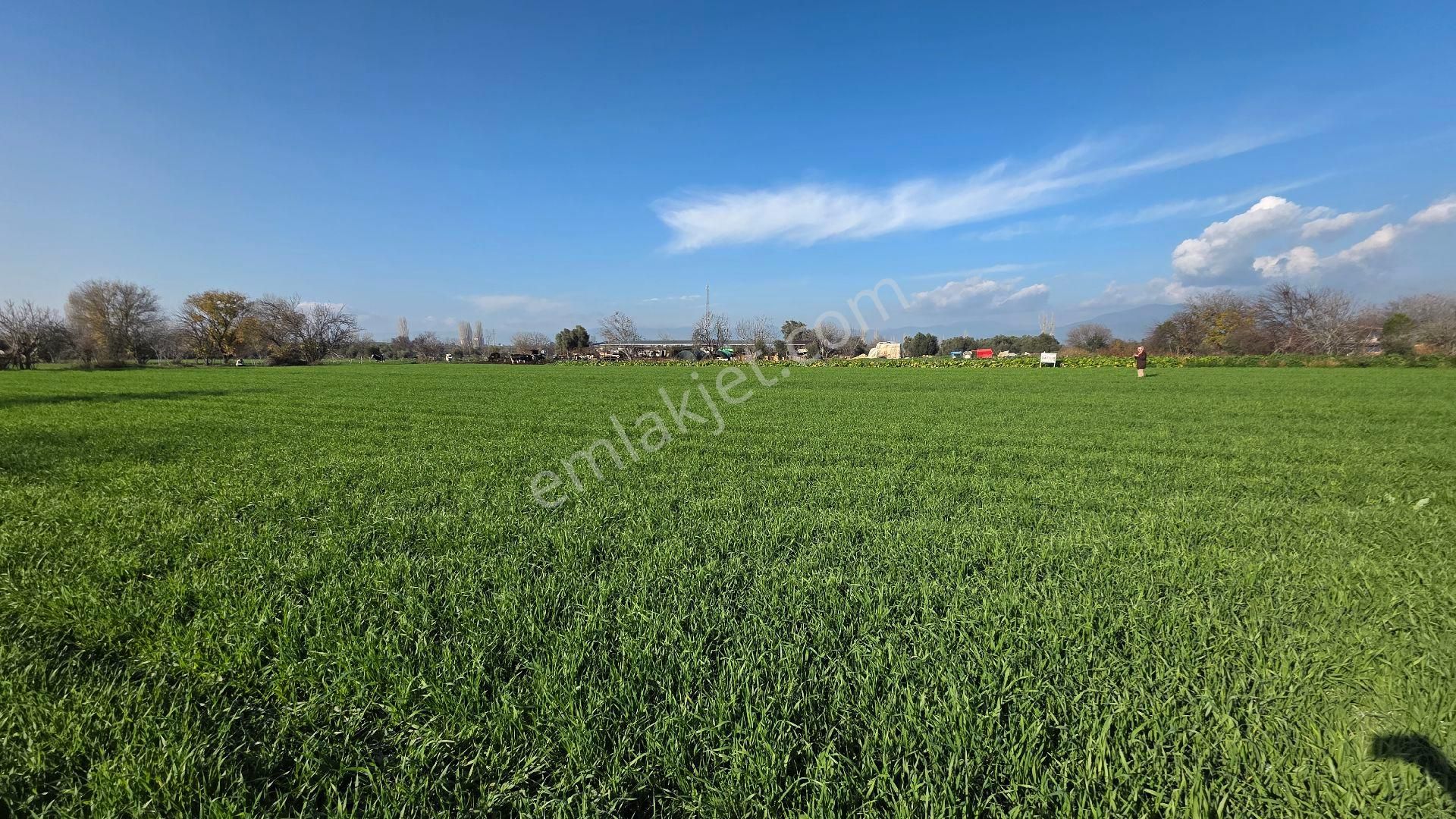 Ali Akdoğan Emlak Ofisinden - Görsel 4