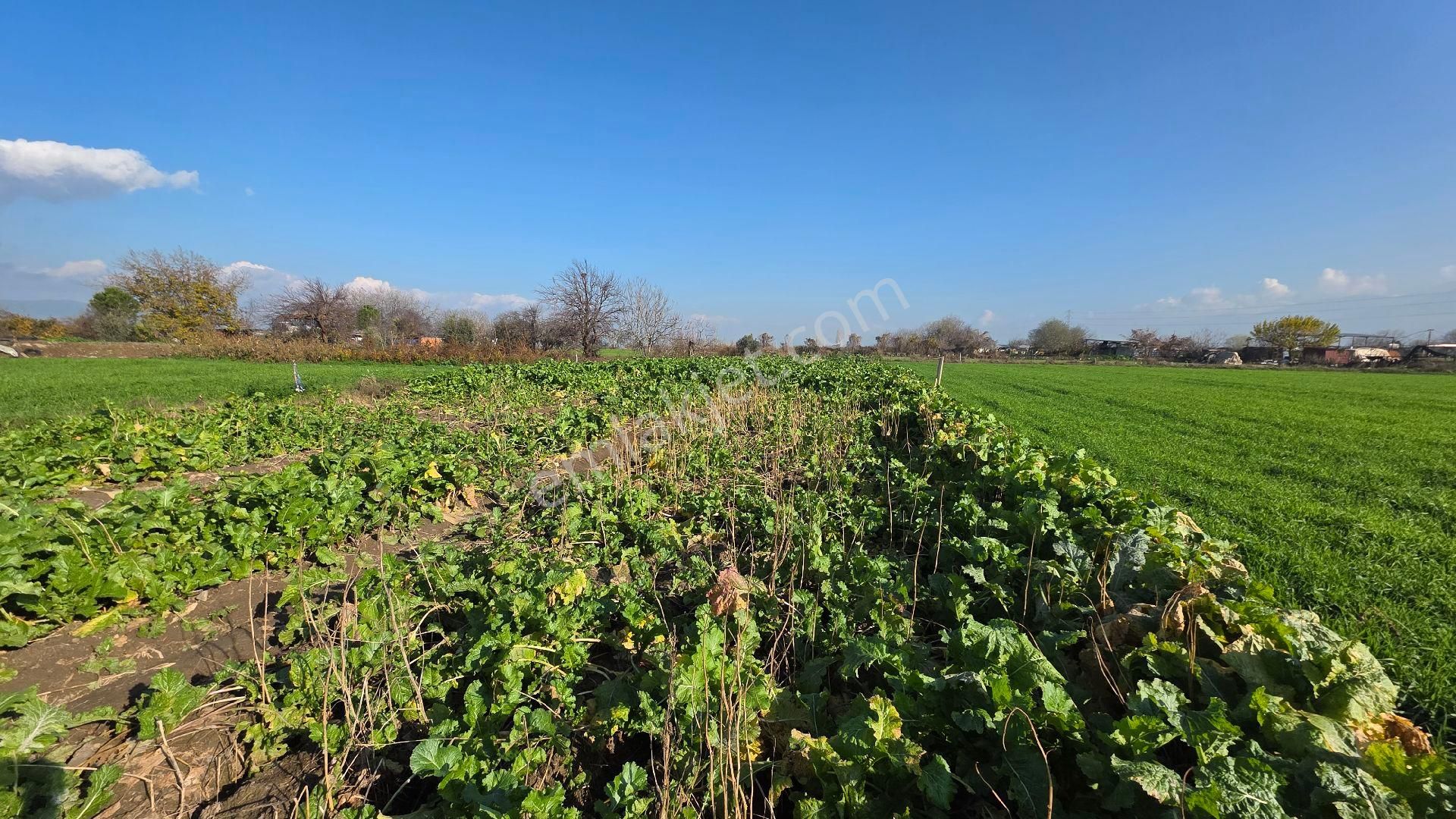 Ali Akdoğan Emlak Ofisinden - Görsel 3