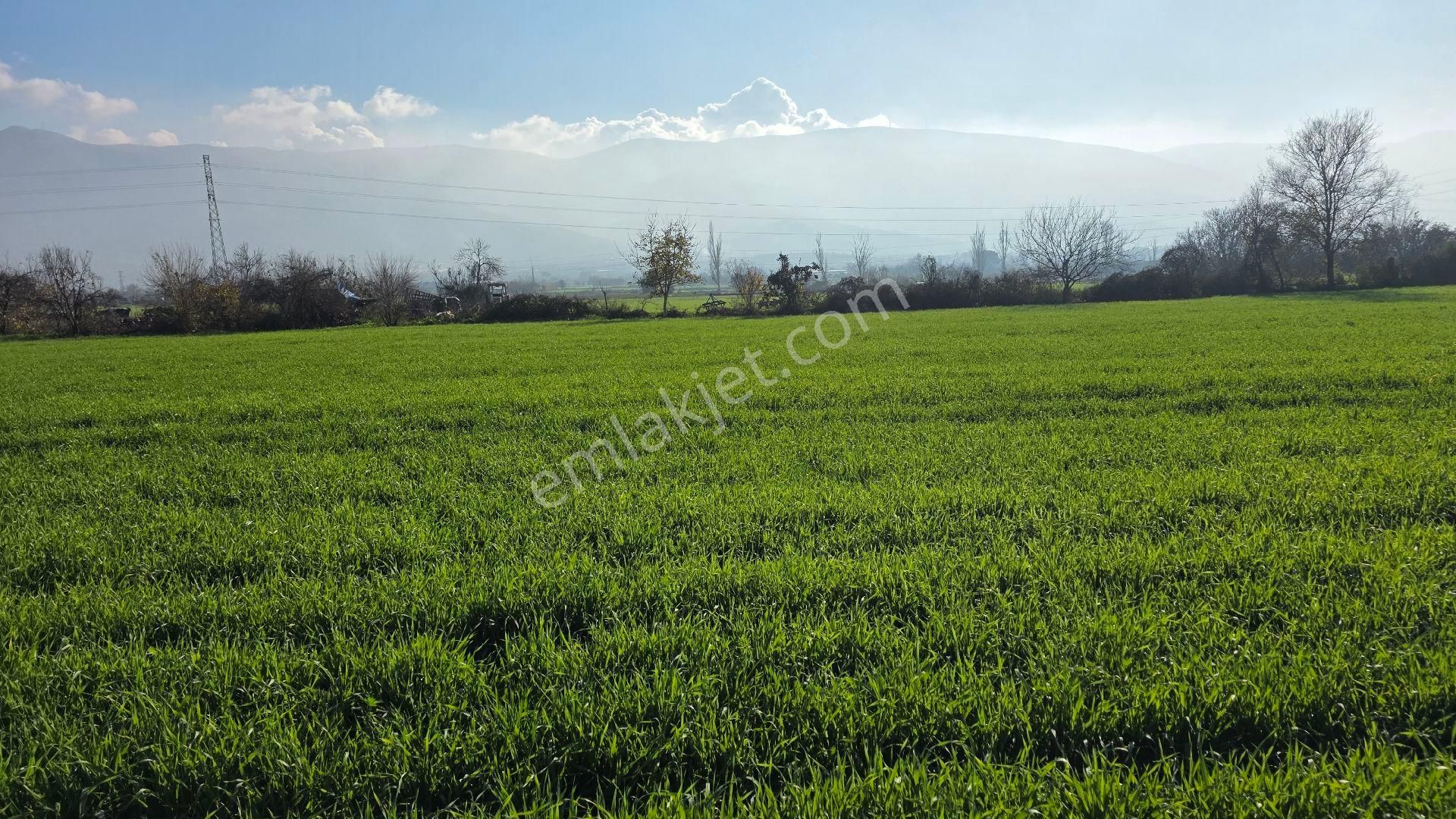 Ali Akdoğan Emlak Ofisinden - Görsel 17