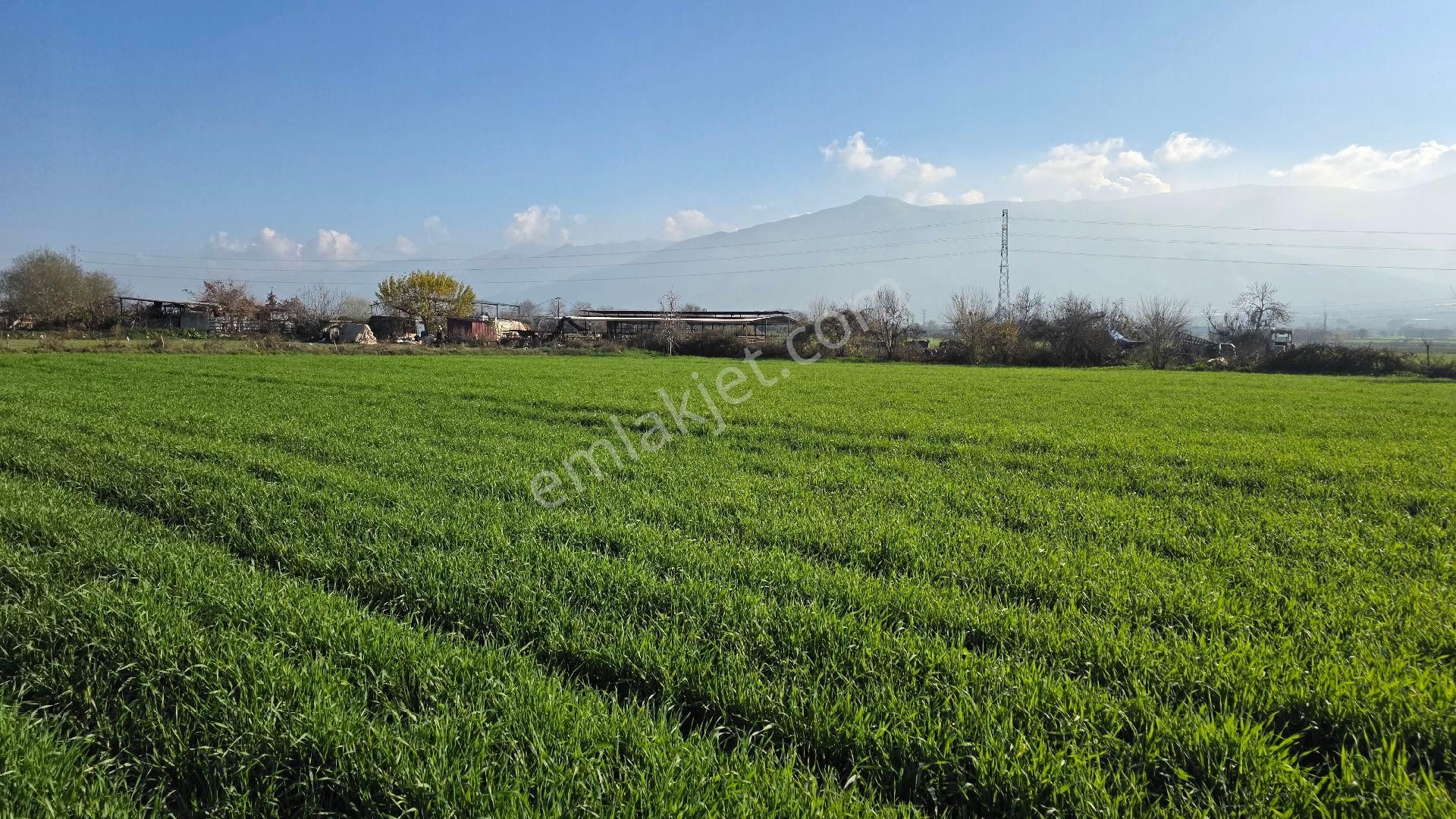 Ali Akdoğan Emlak Ofisinden - Görsel 18