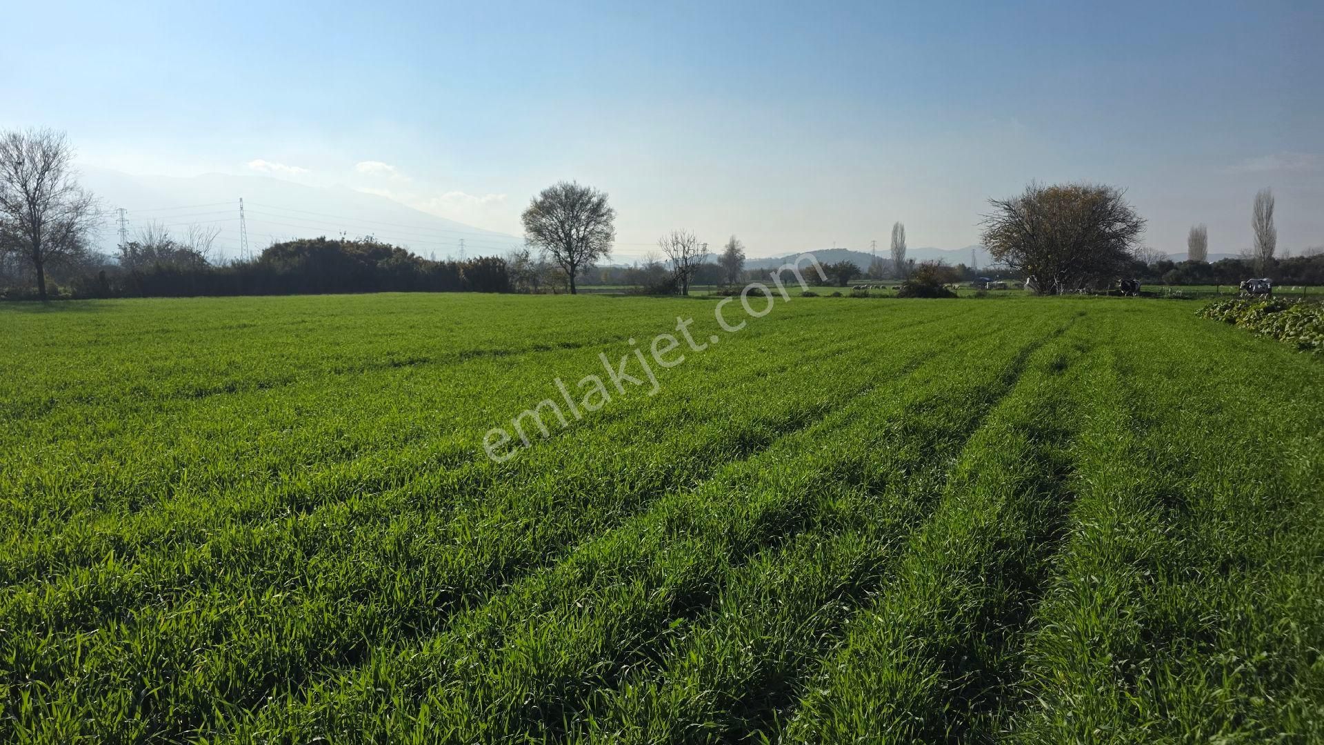 Ali Akdoğan Emlak Ofisinden - Görsel 14