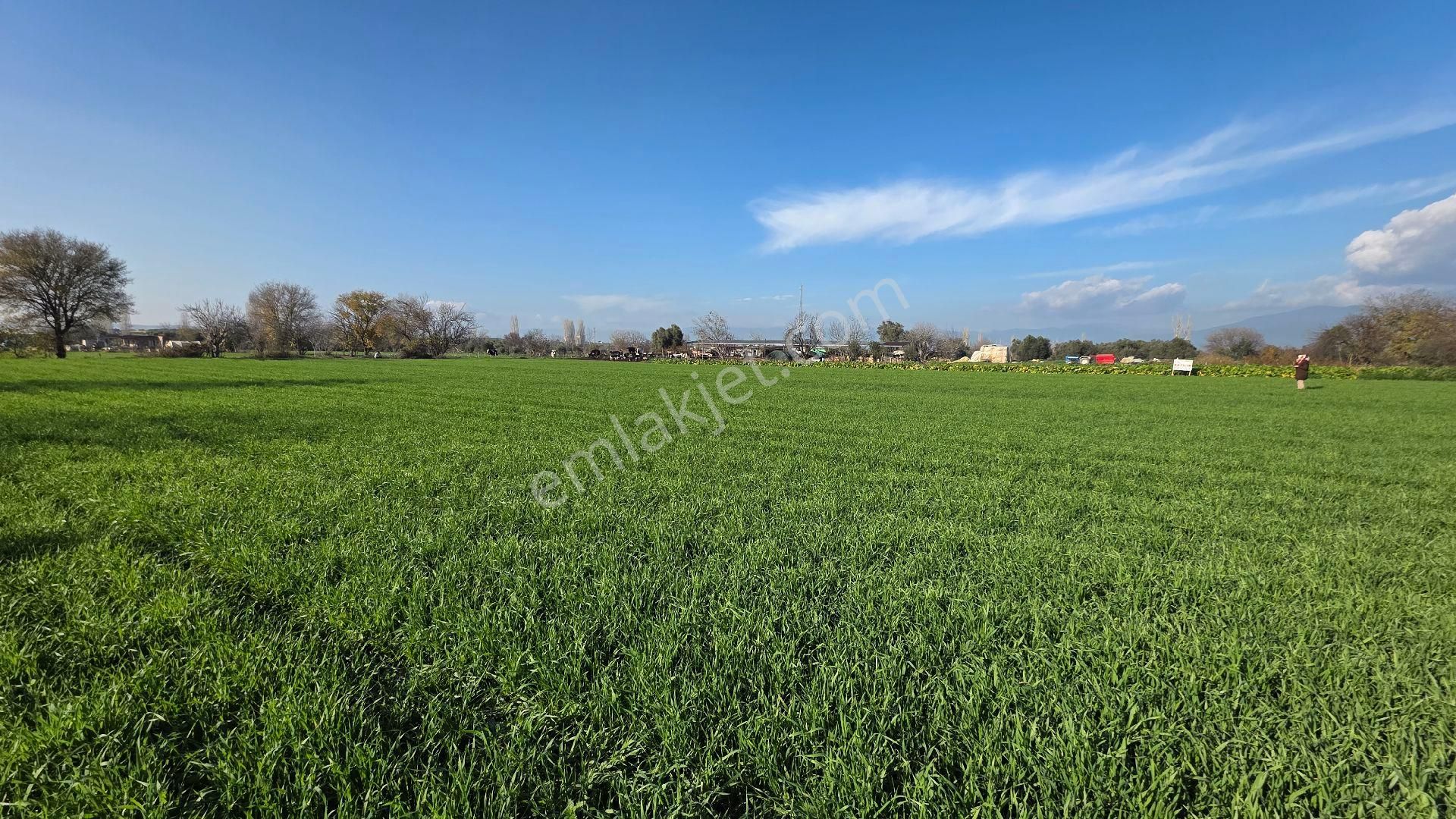 Ali Akdoğan Emlak Ofisinden - Görsel 2