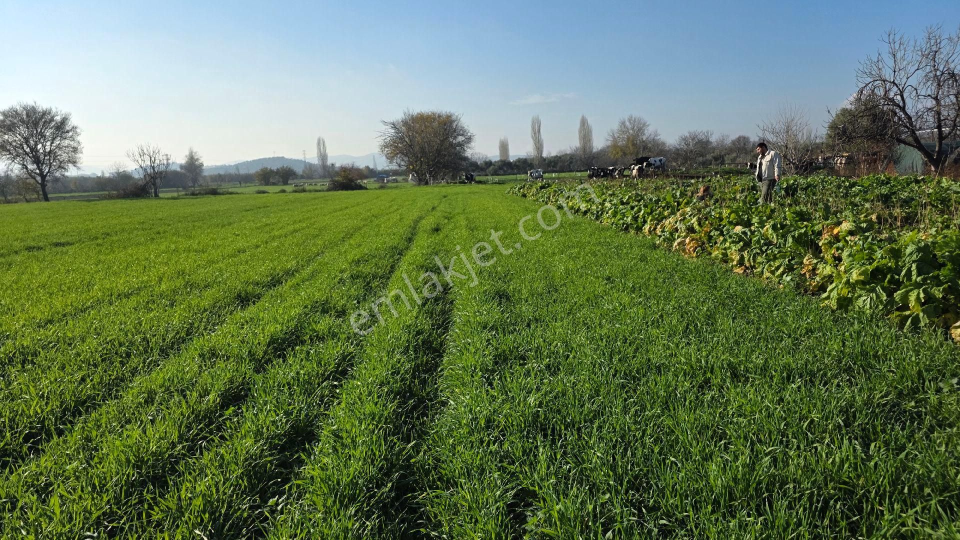 Ali Akdoğan Emlak Ofisinden - Görsel 13