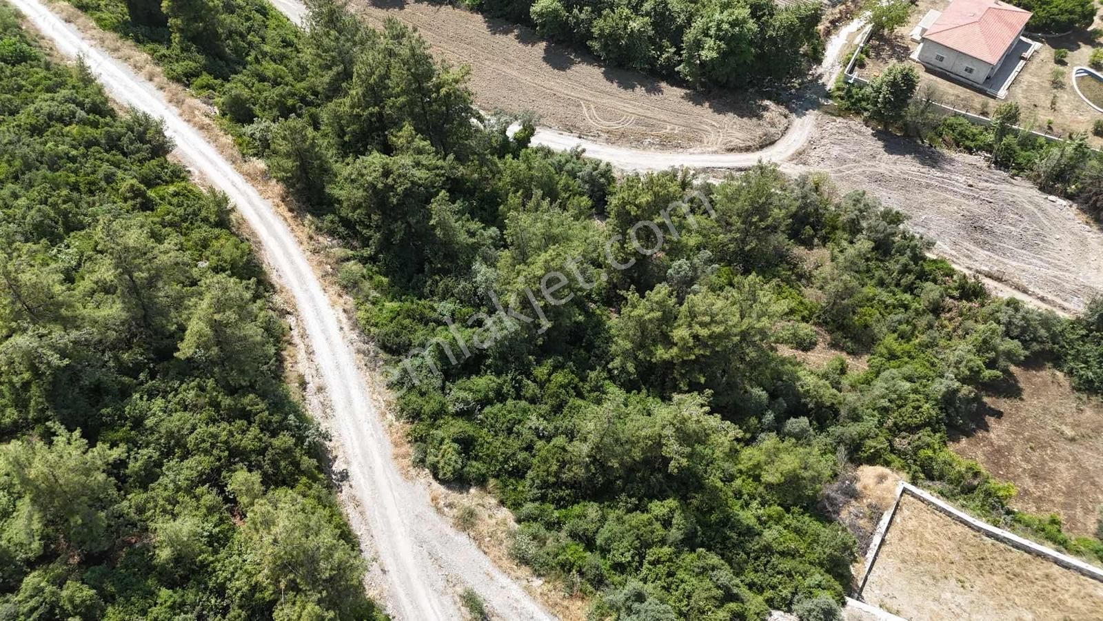 Realty Nexus'dan Muğla Milas Dereköy De Mühteşem Konumda Tarla - Görsel 8