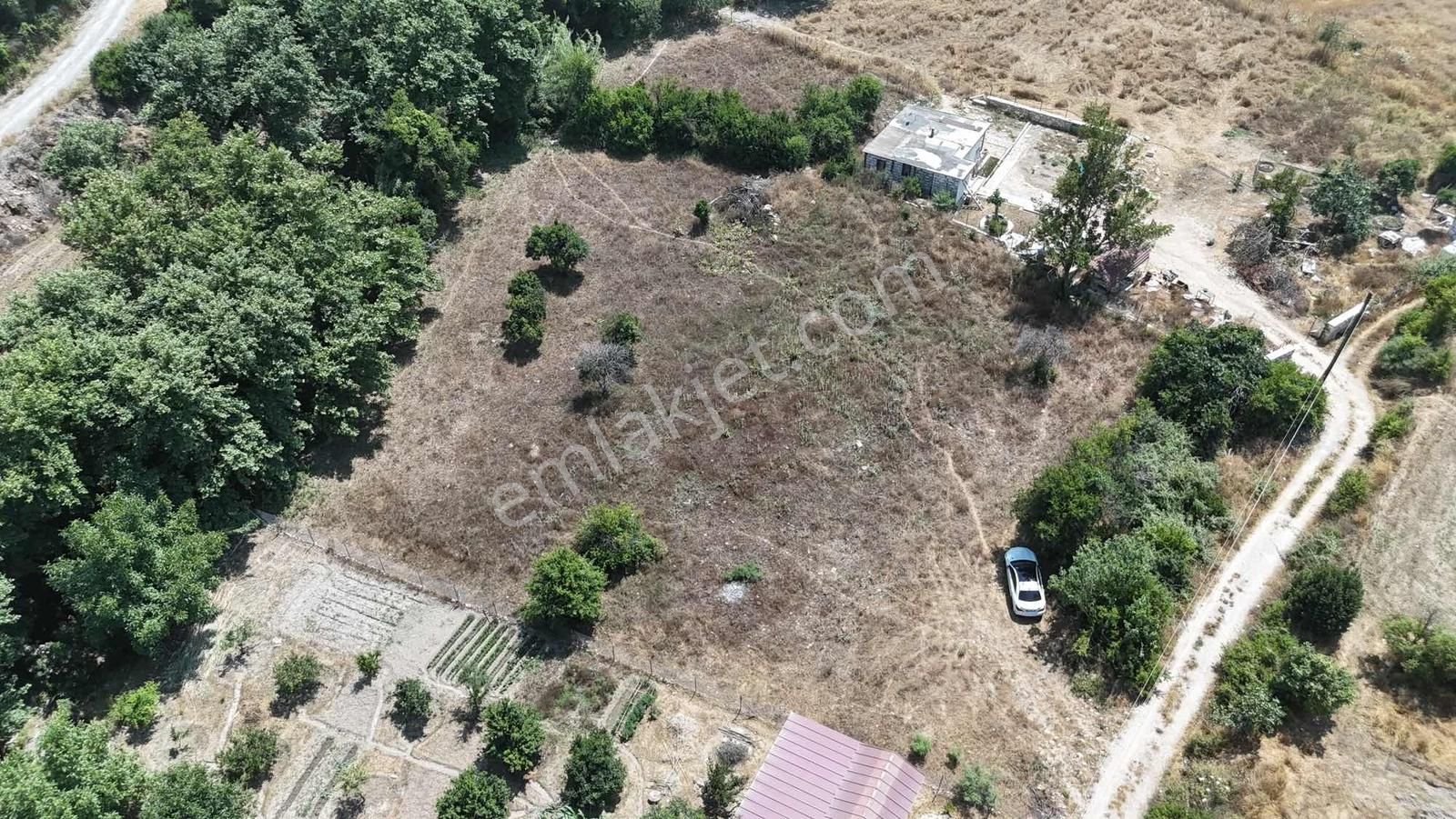 Realty Nexus'dan Muğla Milas Dereköy De Mühteşem Konumda Bahçe - Görsel 10