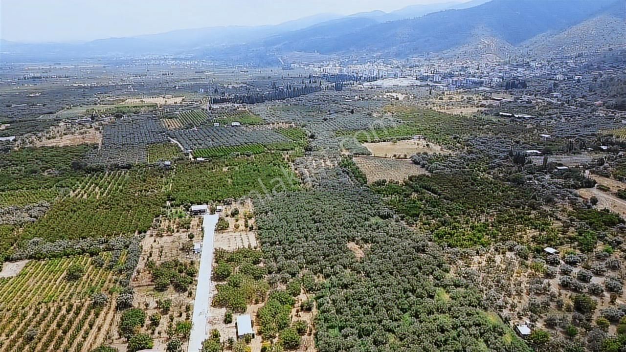 Elektrik & Su Hazır! Ana Yola Yakın, Huzur Bahçesi - Görsel 9